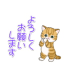 優しい敬語 まんまるチビ猫たち（個別スタンプ：21）