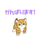 優しい敬語 まんまるチビ猫たち（個別スタンプ：31）