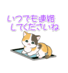 優しい敬語 まんまるチビ猫たち（個別スタンプ：36）