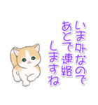 優しい敬語 まんまるチビ猫たち（個別スタンプ：37）