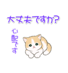 優しい敬語 まんまるチビ猫たち（個別スタンプ：39）