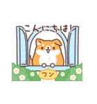 飛び出す♪もっちりいぬ(夏にも使える)（個別スタンプ：4）