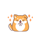 飛び出す♪もっちりいぬ(夏にも使える)（個別スタンプ：10）
