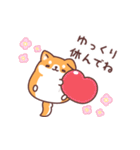 飛び出す♪もっちりいぬ(夏にも使える)（個別スタンプ：11）