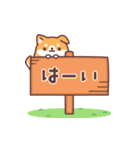 飛び出す♪もっちりいぬ(夏にも使える)（個別スタンプ：15）