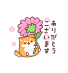 飛び出す♪もっちりいぬ(夏にも使える)（個別スタンプ：16）