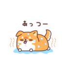 飛び出す♪もっちりいぬ(夏にも使える)（個別スタンプ：21）