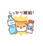 飛び出す♪もっちりいぬ(夏にも使える)（個別スタンプ：24）