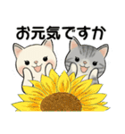 毎日使える夏スタンプ ♡ ラブリー猫さん（個別スタンプ：3）