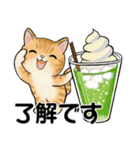 毎日使える夏スタンプ ♡ ラブリー猫さん（個別スタンプ：5）