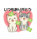 毎日使える夏スタンプ ♡ ラブリー猫さん（個別スタンプ：10）