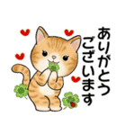 毎日使える夏スタンプ ♡ ラブリー猫さん（個別スタンプ：11）