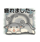 毎日使える夏スタンプ ♡ ラブリー猫さん（個別スタンプ：15）