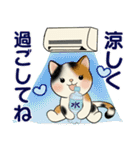 毎日使える夏スタンプ ♡ ラブリー猫さん（個別スタンプ：16）