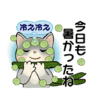 毎日使える夏スタンプ ♡ ラブリー猫さん（個別スタンプ：17）