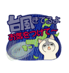 毎日使える夏スタンプ ♡ ラブリー猫さん（個別スタンプ：19）