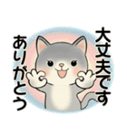 毎日使える夏スタンプ ♡ ラブリー猫さん（個別スタンプ：21）