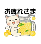 毎日使える夏スタンプ ♡ ラブリー猫さん（個別スタンプ：25）