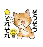 毎日使える夏スタンプ ♡ ラブリー猫さん（個別スタンプ：29）