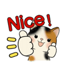毎日使える夏スタンプ ♡ ラブリー猫さん（個別スタンプ：30）