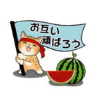 毎日使える夏スタンプ ♡ ラブリー猫さん（個別スタンプ：33）