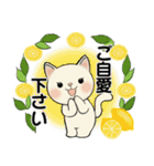 毎日使える夏スタンプ ♡ ラブリー猫さん（個別スタンプ：39）