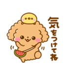 夏♡といぷー（個別スタンプ：19）