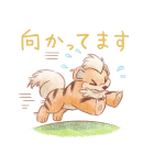 ポケモン やさしい毎日のあいさつ（個別スタンプ：36）