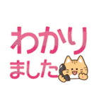 とびだす！ゆるかわにゃんこズ(夏)（個別スタンプ：8）