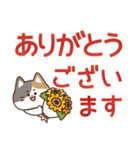 とびだす！ゆるかわにゃんこズ(夏)（個別スタンプ：13）