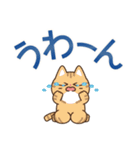 とびだす！ゆるかわにゃんこズ(夏)（個別スタンプ：19）