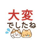 とびだす！ゆるかわにゃんこズ(夏)（個別スタンプ：20）