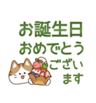 とびだす！ゆるかわにゃんこズ(夏)（個別スタンプ：24）