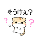 栃木弁のパンダとねこ（個別スタンプ：9）