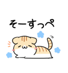 栃木弁のパンダとねこ（個別スタンプ：11）