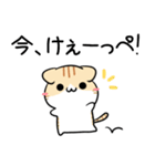 栃木弁のパンダとねこ（個別スタンプ：15）