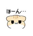 栃木弁のパンダとねこ（個別スタンプ：17）