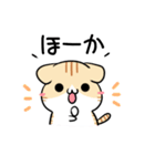 栃木弁のパンダとねこ（個別スタンプ：21）
