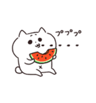 動く猫！ぺけとまゆげ6【夏バージョン！】（個別スタンプ：14）