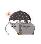 動く猫！ぺけとまゆげ6【夏バージョン！】（個別スタンプ：23）