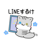 新潟弁のねこ ノルウェージャン（個別スタンプ：23）