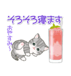 まんまるチビ猫たちと夏スイーツ（個別スタンプ：5）