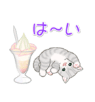 まんまるチビ猫たちと夏スイーツ（個別スタンプ：9）