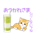 まんまるチビ猫たちと夏スイーツ（個別スタンプ：14）