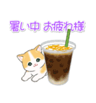まんまるチビ猫たちと夏スイーツ（個別スタンプ：15）