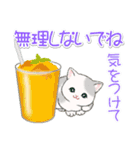 まんまるチビ猫たちと夏スイーツ（個別スタンプ：17）