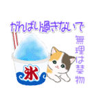 まんまるチビ猫たちと夏スイーツ（個別スタンプ：19）
