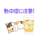 まんまるチビ猫たちと夏スイーツ（個別スタンプ：23）