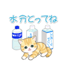 まんまるチビ猫たちと夏スイーツ（個別スタンプ：24）