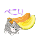 まんまるチビ猫たちと夏スイーツ（個別スタンプ：34）